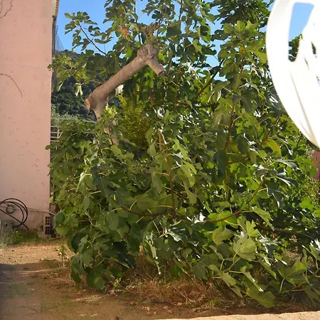 Via Ulisse Fbu-dom01 Tanaunella